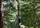 zipline