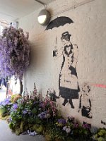IMG_8876