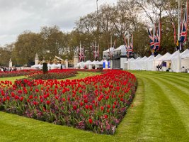 IMG_8930
