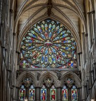 IMG_5314