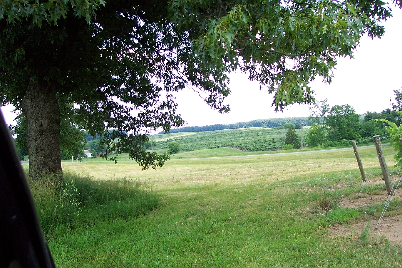 DCP_0356.JPG