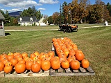 IMG 9731