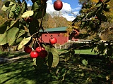 IMG 9769