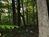 IMG 1725