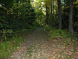 IMG 1730