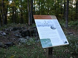 IMG 1733