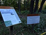 IMG 9488