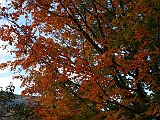 IMG 1911
