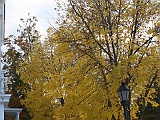 IMG 1918