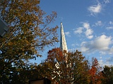 IMG 1920