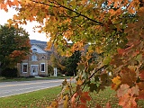IMG 9845