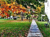 IMG 9874