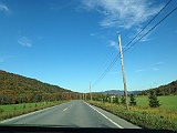 IMG 9923