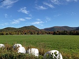 IMG 9924