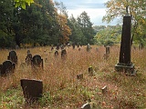 IMAGE 1925