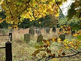 IMAGE 1930