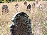 IMG 0831