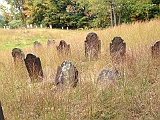 IMG 0832