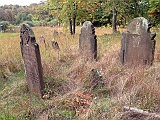 IMG 0837