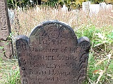 IMG 0845