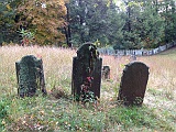 IMG 0871