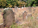 IMG 0877