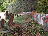 IMG 0881