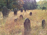 IMG 0894