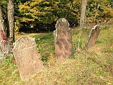 IMG 0896