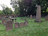 IMG 0942