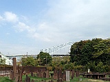 IMG 0943