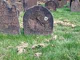 IMG 0948