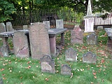 IMG 0960