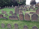 IMG 0977