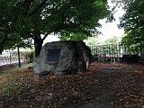IMG 0987