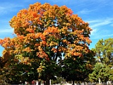 IMG 0809