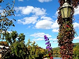 IMG 9879