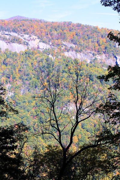 IMG_6377.JPG