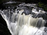 IMG 1262