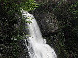 IMG 1270