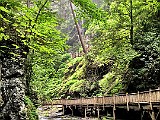 IMG 6018