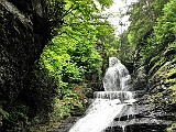 IMG 6523