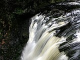 IMG 6620