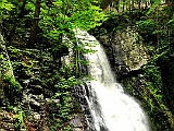 IMG 6210
