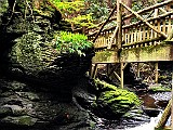 IMG 6529