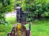 IMG 6533