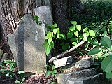 IMG 6147