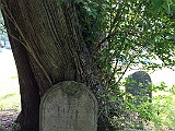 IMG 6165