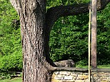 IMG 6167