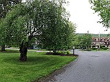 IMG 6510
